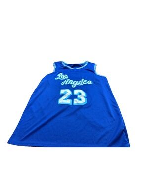 Mens Los Angeles LeBron James Swingman Basketball Jersey! Medium